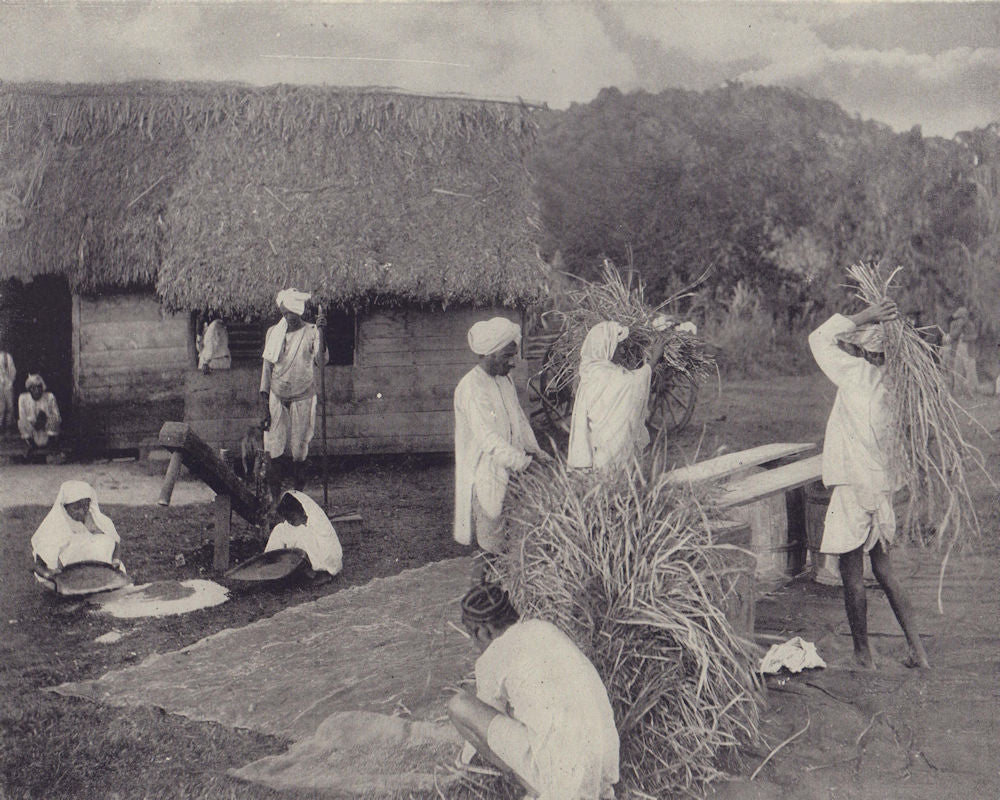 Preparing rice, India. STODDARD 1895 old antique vintage print picture